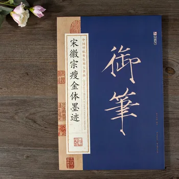 Kitajska Kaligrafija Knjige Z Roko V Telo Krtačo Pisanja Začetnik Rednih Scenarij Tisoč Znakov Mehka Pen Pisanja
